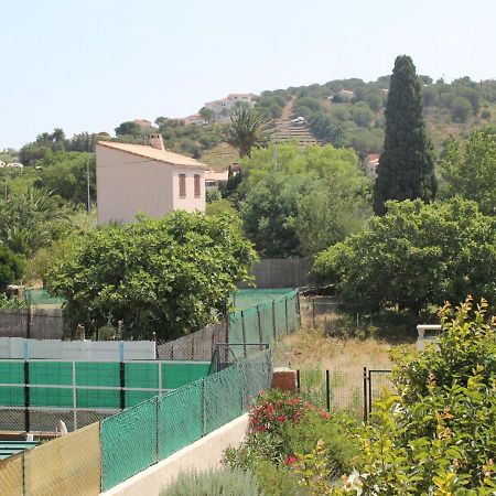 Appartement Renove Avec Terrasse, A Deux Pas Du Centre Et De La Mer, Ideal Pour 4 Personnes - Fr-1-309-4 Banyuls-sur-Mer Exteriör bild