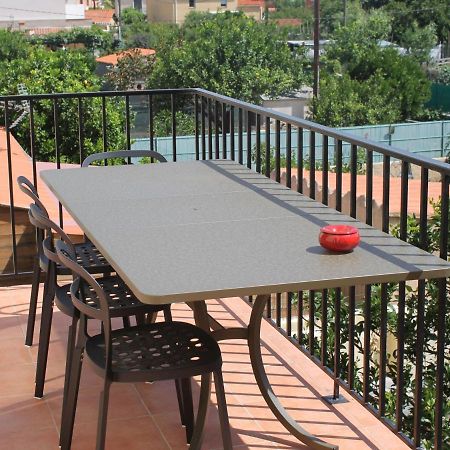 Appartement Renove Avec Terrasse, A Deux Pas Du Centre Et De La Mer, Ideal Pour 4 Personnes - Fr-1-309-4 Banyuls-sur-Mer Exteriör bild